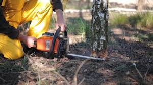 Best Soil Testing and Treatment  in Chilton, WI