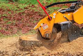 Reliable Chilton, WI Tree Care Solutions